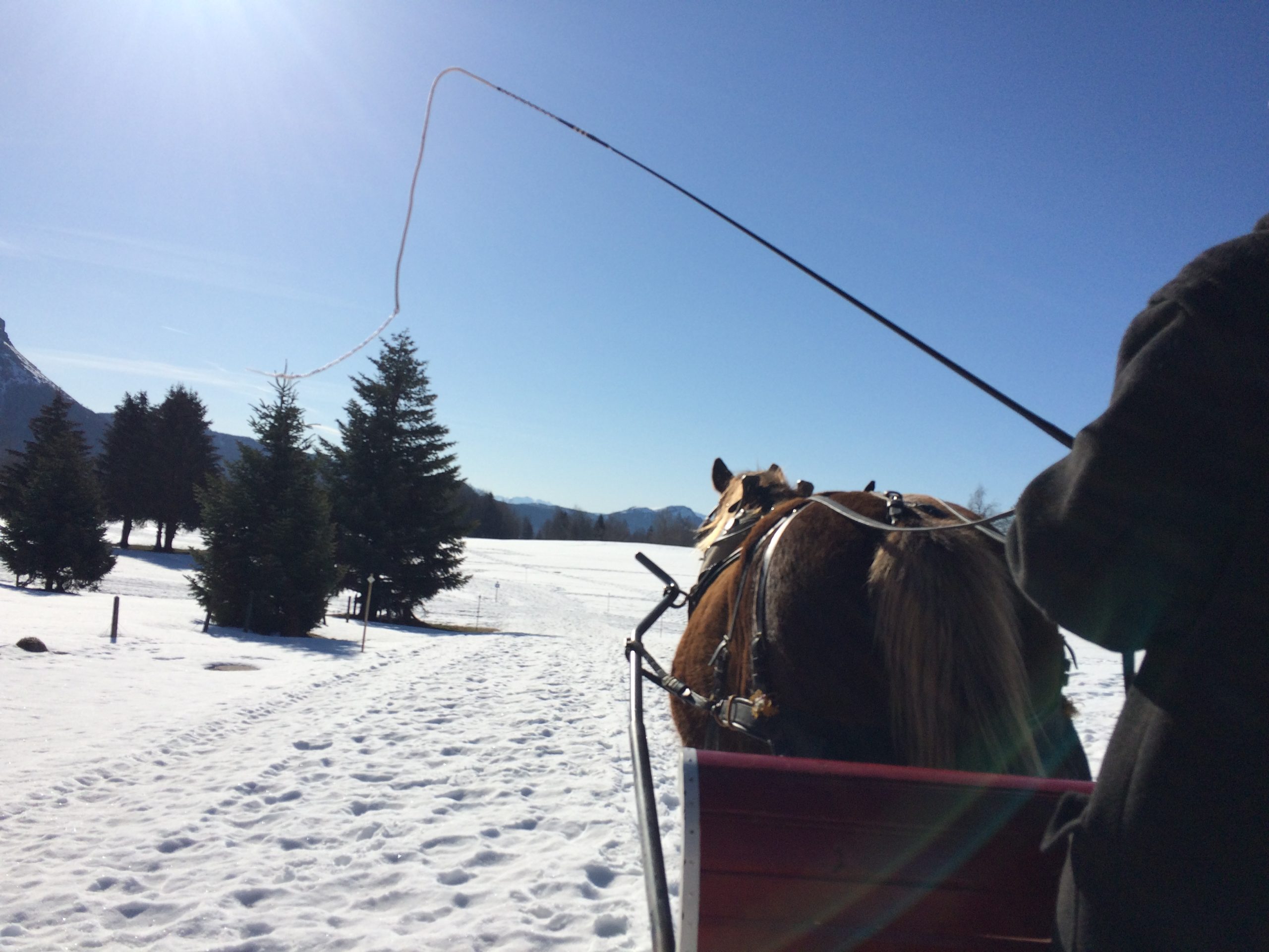 Hébergement Gîtes La Féclaz